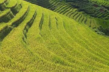 Mai Chau – Pu Luong 2D1N