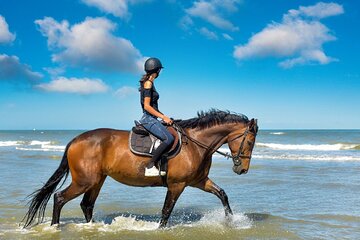 2 Hours Horse Riding Adventure on the beach From Sharm El Sheikh