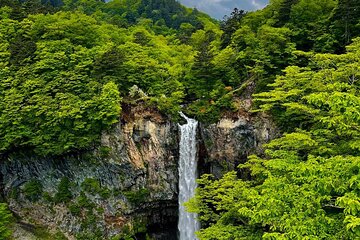 Nikko City Private Sightseeing Tour with English Speaking Driver