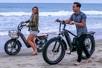 Electric Bike Rentals with Delivery