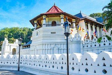 Kandy Day trip from Kalutara Beruwala Bentota Aluthgama Wadduwa