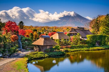 3 Day Tokyo to Kyoto tour (hotels, transport and guide included)!