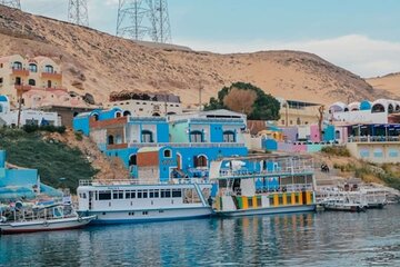 From Aswan: Nubian Museum and village tour with tour guide