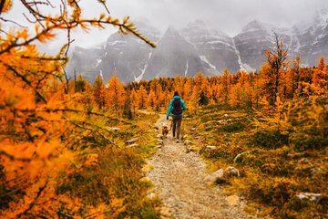 Full-Day Larch hike, Departure from Banff