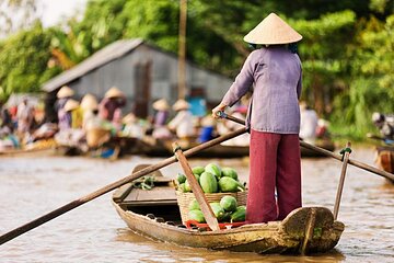 Full Day Private Tour in Mekong Delta from Ho Chi Minh