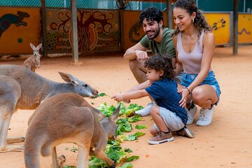 San Antonio Zoo General Admission Ticket