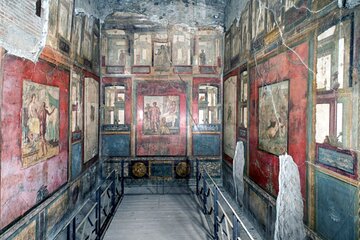 Guided visit by an Archaeologist to the Ruins of Pompeii from Naples