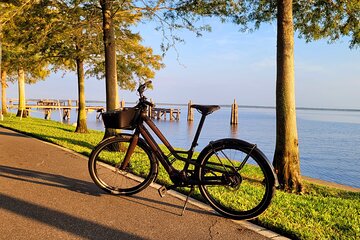 E-Bike Rental - 2 Hour Rental in Historic Downtown Sanford