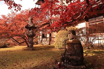 Nikko Day Tour Private with English Speaking Driver