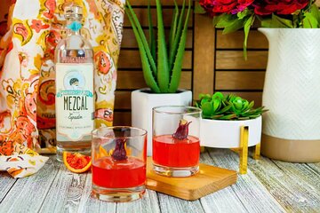 Artisanal Mezcal Tasting and Mixology Class