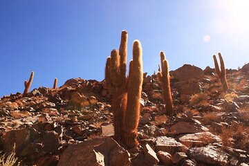 Hidden Waterfall Trekking in San Pedro de Atacama