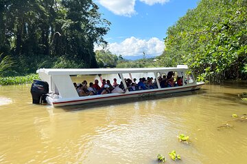 Full Day Private Tortuguero Canal and Zipline Adventure in Limon