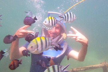 Half Day Guided Underwater Sea Walk Experience in Nusa Dua