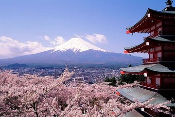 Mount Fuji Private Day Tour With English Speaking Driver