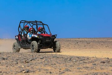Buggy Car Safari Adventure from Marsa Alam