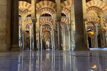 Private Visit Mosque-Cathedral, Jewish quarter, Alcazar and Synagogue