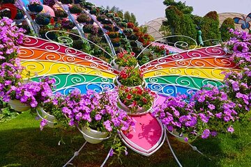  Dubai Butterfly Garden Admission Ticket