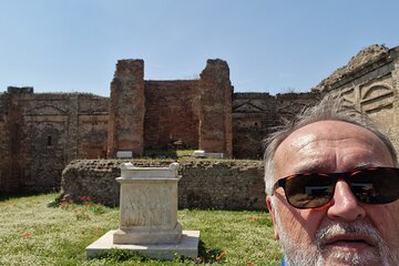 Pompeii Private Tour from Naples