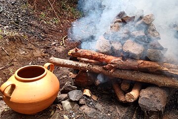 Therapeutic Temazcal: Harmony and Rebirth in the Forest