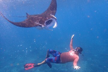 From Bali: Snorkeling with Manta Rays in Nusa Lembongan & Penida