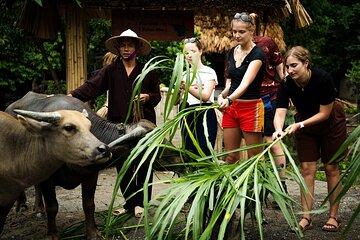 2 Day Eco Tour Mua Cave and Buffalo Cave From Hanoi to Trang An