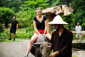 Ninh Binh eco group tour - Buffalo riding, rice planting, fishing