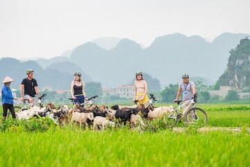 Ninh Binh Full Day Tour with Hoa Lu, Tam Coc and Mua Cave