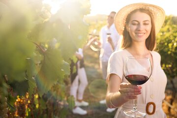 Exclusive Provence Wine Tour-Private Day for 2-3 people from Nice