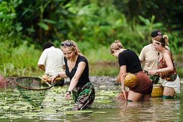 2 Days Shared Group Tour Buffalo Cave in Hoa Lu and Tam Coc 