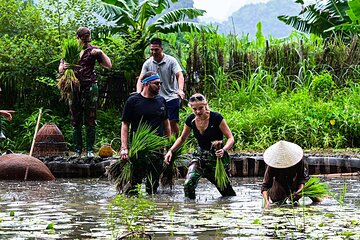 3 Days Shared Group Eco Tour in Ninh Binh