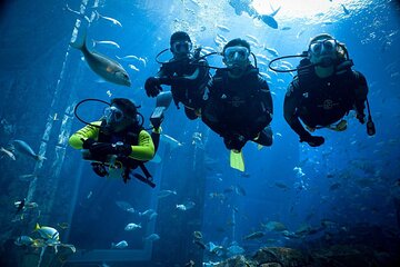 2 Dives a Comfy Boat for Certified Divers in Hurghada