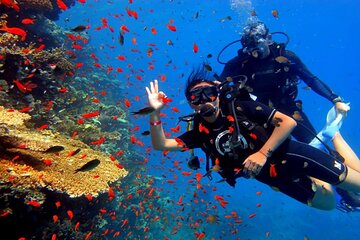 Overnight from Cairo to Hurghada Snorkeling and Luxor Tour