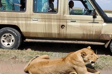 3 Days Selous Nyerere National park safari Boat and Walking 