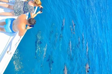 Dolphin Reef Trip, Full-Day Boat Trip With Snorkeling and Lunch.