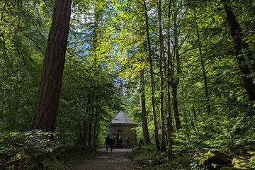 Scone Palace, Nature, Pitlochry, Whisky Experience from Edinburgh