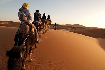 Marrakech to Merzouga Desert 3-Day via the High Atlas Mountains