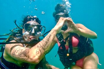 Beginner Scuba Diving Tour With Videos in West Palm Beach