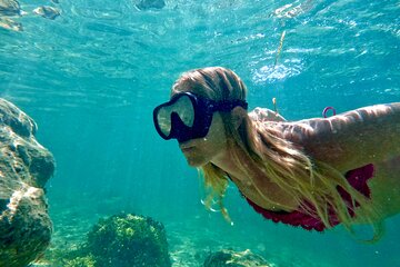 Beginner Snorkel Tour With Videos in West Palm Beach