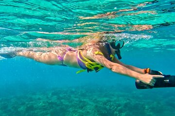 Jet Snorkel Tour in West Palm Beach