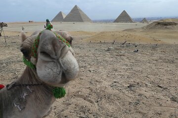 Private tour Giza pyramids from inside, Great sphinx, camel&lunch