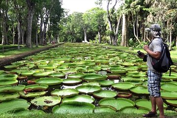 Full Day Tour of Botanical Garden and L'Aventure du Sucre