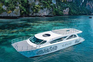 Full-Day Phi Phi Islands, Maiton island Trip by Speed Catamaran