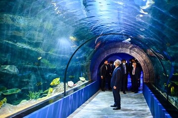 Full-day Tour of Odysseo Aquarium and Chateau de Labourdonais