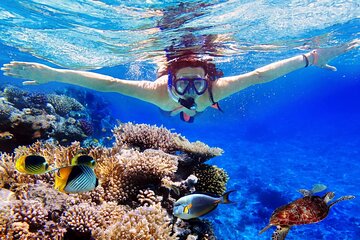 Blue Lagoon & Tanjung Jepun Snorkeling Private Tour