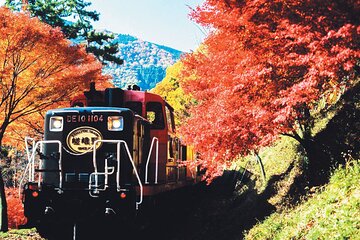 Sagano Romantic Train & Arashiyama, Kiyomizudera, Fushimi Inari Taisha Day Tour