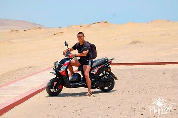 Visit the Paracas National Reserve on a SCOOTER