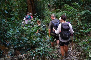 Hidden Trails Of Ba Be National Park 3 Days 2 Nights