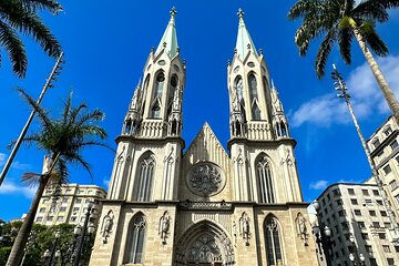 Full Day Private Shore Tour in Sao Paulo from Santos Cruise Port