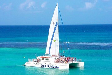 Half-Day Private Catamaran And Dunn's River Falls Tour in Ocho