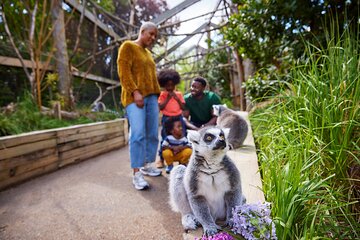 London Zoo Entry Ticket 